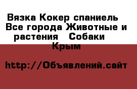 Вязка Кокер спаниель - Все города Животные и растения » Собаки   . Крым